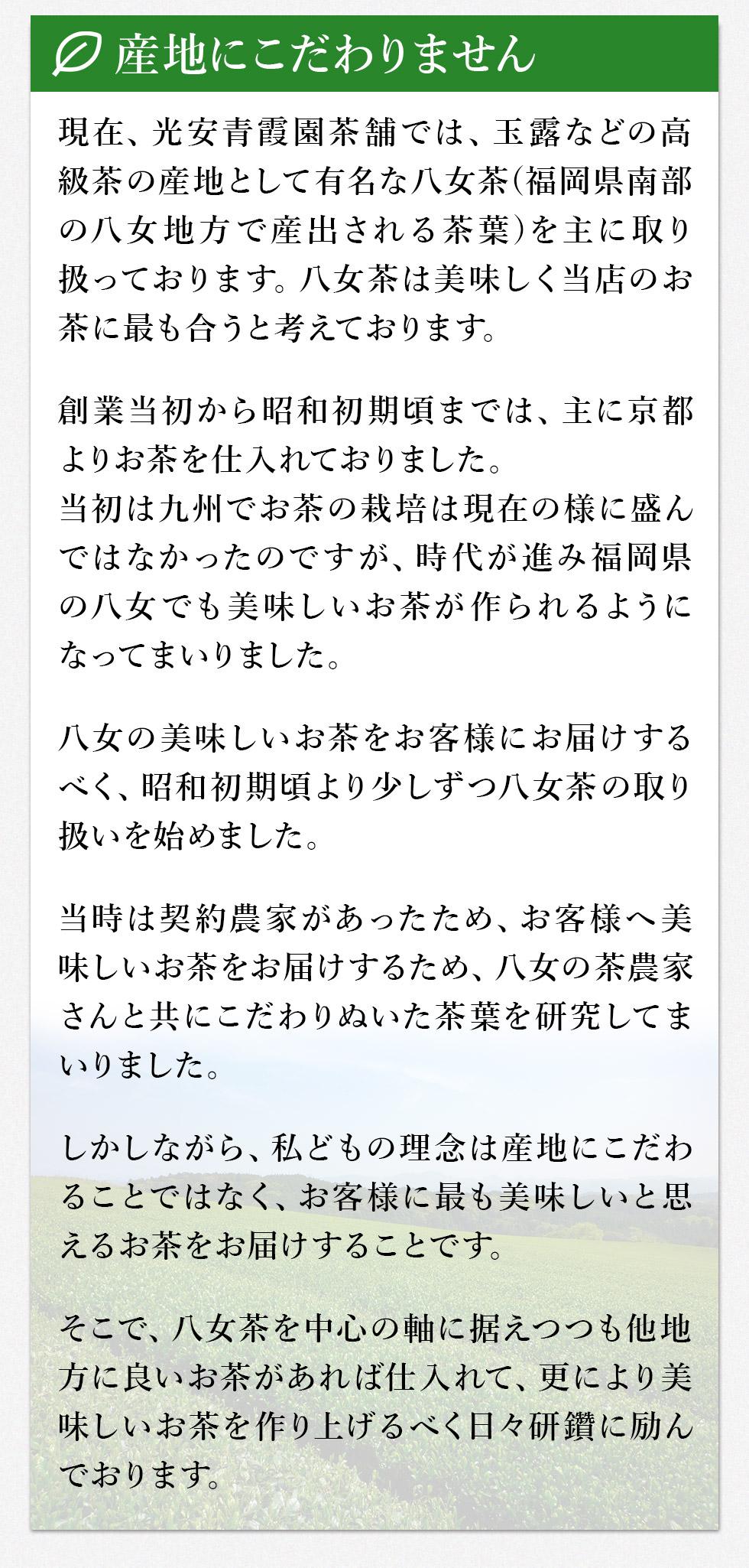 【産地にこだわりません。】
現在、光安青霞園茶舗では、玉露(ぎょくろ)などの高級茶の産地として有名な八女茶(福岡県南部の八女地方で産出される茶葉)を主に取り扱っております。八女茶は美味しく当店のお茶に最も合うと考えております。
創業当初から昭和初期頃までは、主に京都よりお茶を仕入れておりました。当初は九州でお茶の栽培は現在の様に盛んではなかったのですが、時代が進み福岡県の八女でも美味しいお茶が作られるようになってまいりました。
八女の美味しいお茶をお客様にお届けするべく、昭和初期頃より少しずつ八女茶の取り扱いを始めました。
当時は契約農家があったため、お客様へ美味しいお茶をお届けするため、八女の茶農家さんと共にこだわりぬいた茶葉を研究してまいりました。
しかしながら、私どもの理念は産地にこだわることではなく、お客様に最も美味しいと思えるお茶をお届けすることです。
そこで、八女茶を中心の軸に据えつつも他地方に良いお茶があれば仕入れて、更により美味しいお茶を作り上げるべく日々研鑽に励んでおります。